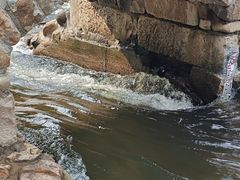 -楠溪江石桅岩