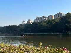 -光明港公园