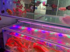 -双季花艺园艺市场(浦东店)