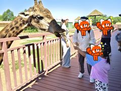 -鄂尔多斯野生动物园