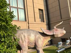 -国家自然博物馆