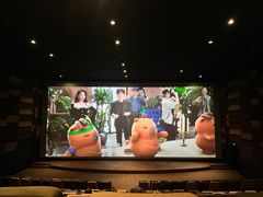 -武商摩尔影城(国广IMAX激光店)