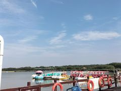 -西青郊野公园