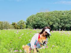 -东滩湿地公园观海楼餐厅