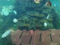 -鸿通城购物中心