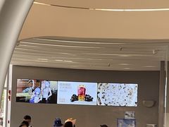 -喜茶(迪士尼小镇DP店)