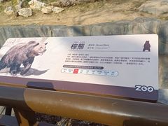 -武汉动物园