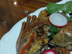 -呼吸森林·生态农庄农家乐私房菜