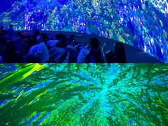 -海合安武汉极地海洋公园