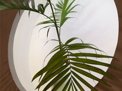 -本处·素食·融合料理(南油店)