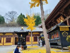 -四门塔风景区