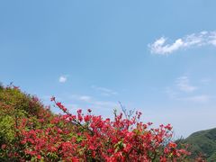 -大围山国家森林公园