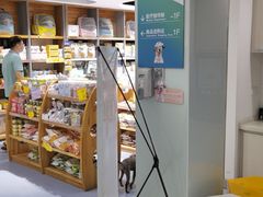 -奈斯宠物医院·核磁CT·异宠专科·内镜(中南店)