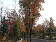 -长白山万达喜来登度假酒店