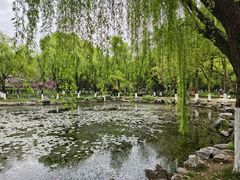 -范蠡湖公园