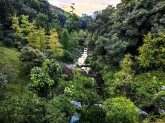 -云溪植物园