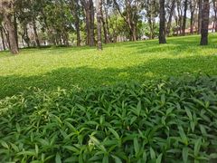 -深圳龙潭公园