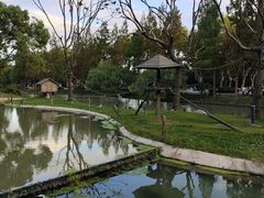 -上海野生动物园