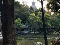 -深圳国际园林花卉博览园