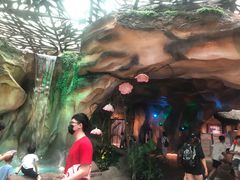 -杭州开元森泊度假乐园