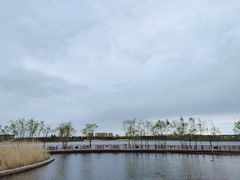 -绿堤公园