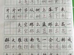 -赵汝飞练字硬笔书法(静安寺校区)