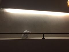 -来龙里 精致 东南亚餐室(万象城店)