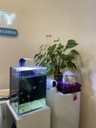 -S&G Beauty轻奢皮肤管理中心