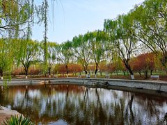 -石家庄市植物园