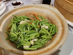 砂锅长杆茼蒿-同庆楼(大钟寺店)
