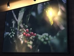 -星巴克(西藏路店)