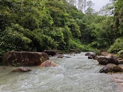 -广州白江湖森林公园