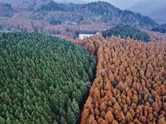-山王坪喀斯特国家生态公园