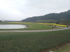 -径山花海