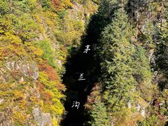 -茅兰沟国家森林公园