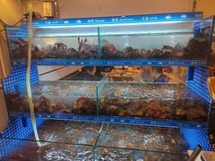 -阿木龙虾·烧烤涮肉羊蝎子(栖山路店)