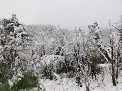 -瓦屋山景区