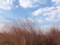 -映月湖中央公园