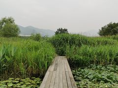 -长兴太湖图影湿地文化园