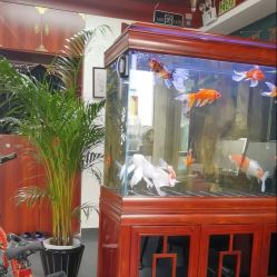 -刺客者联盟纹身·洗纹身工作室