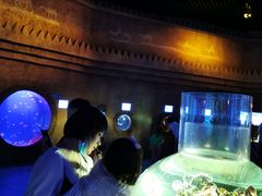 -华夏文旅海洋公园