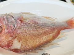 -吴记富苑(朝阳店)