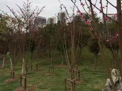 -堤角公园