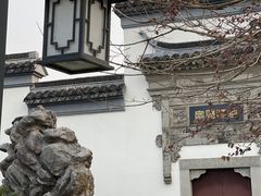 -八大山人梅湖景区