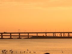 -宝安西湾红树林湿地公园