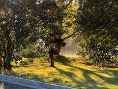 -西郊宾馆·1921餐厅