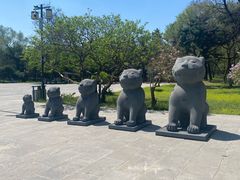 -沈阳市东陵公园