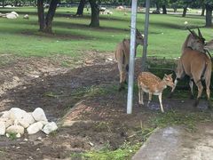 -西安秦岭野生动物园