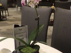 -观海半岛宴·湛江精品菜(蛇口招商局广场店)