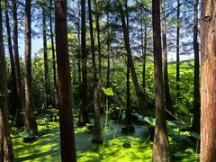 -云龙湖旅游景区
